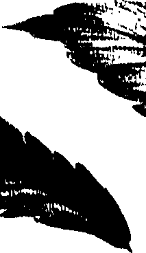 099/099300010201730_0.png