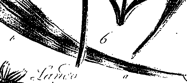 099/099300010201730_1.png