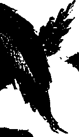 099/099300010201750_1.png