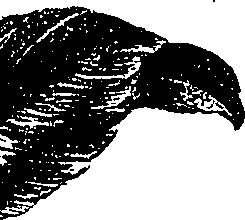 099/099300010201760_1.png