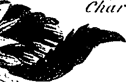 099/099300010201760_2.png