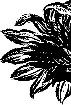 099/099300010201760_3.png