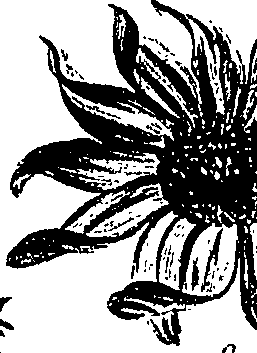 099/099300010201760_4.png
