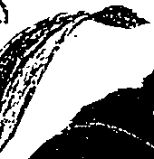 099/099300010201770_0.png