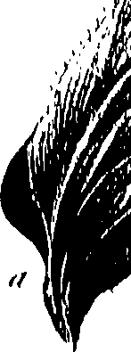 099/099300010201780_0.png