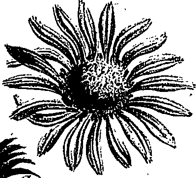 099/099300010201780_1.png