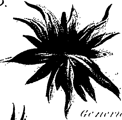 099/099300010201790_0.png