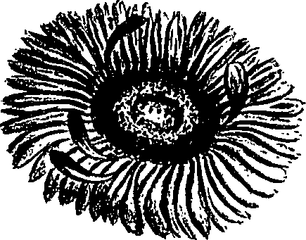 099/099300010201800_0.png