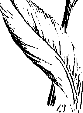 099/099300010201820_0.png