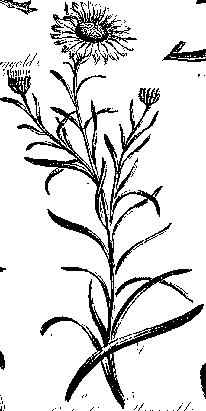 099/099300010201830_0.png