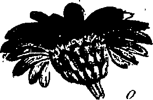 099/099300010201830_1.png