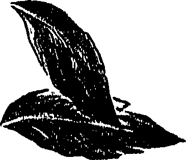 099/099300010201860_0.png