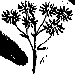 099/099300010201950_0.png