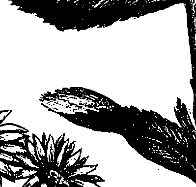 099/099300010201950_2.png