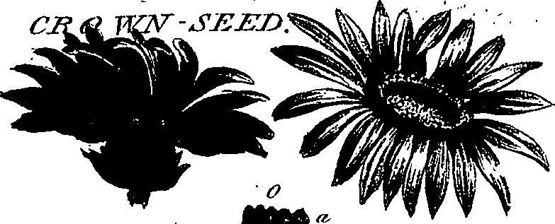 099/099300010201970_1.png