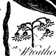 099/099300010201990_0.png