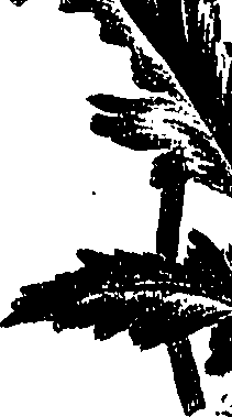 099/099300010202000_0.png