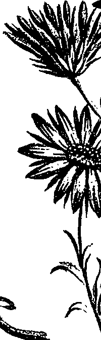 099/099300010202010_0.png
