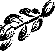 099/099300010202010_1.png