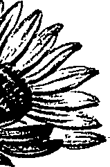 099/099300010202010_2.png