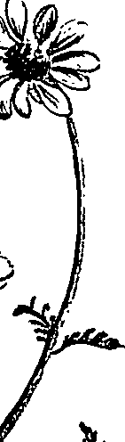 099/099300010202030_0.png
