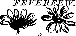 099/099300010202030_1.png