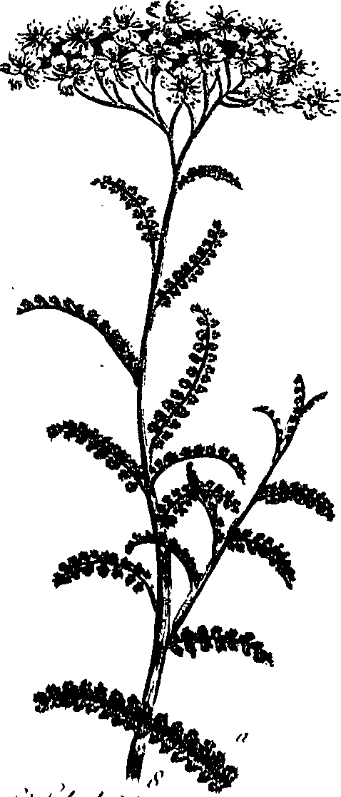 099/099300010202050_0.png