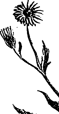 099/099300010202060_1.png