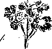 099/099300010202070_1.png