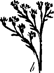 099/099300010202080_0.png