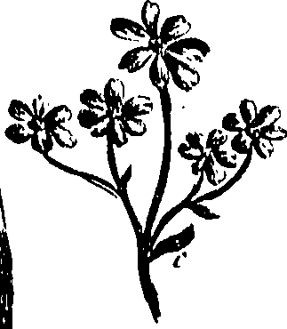099/099300010202110_0.png
