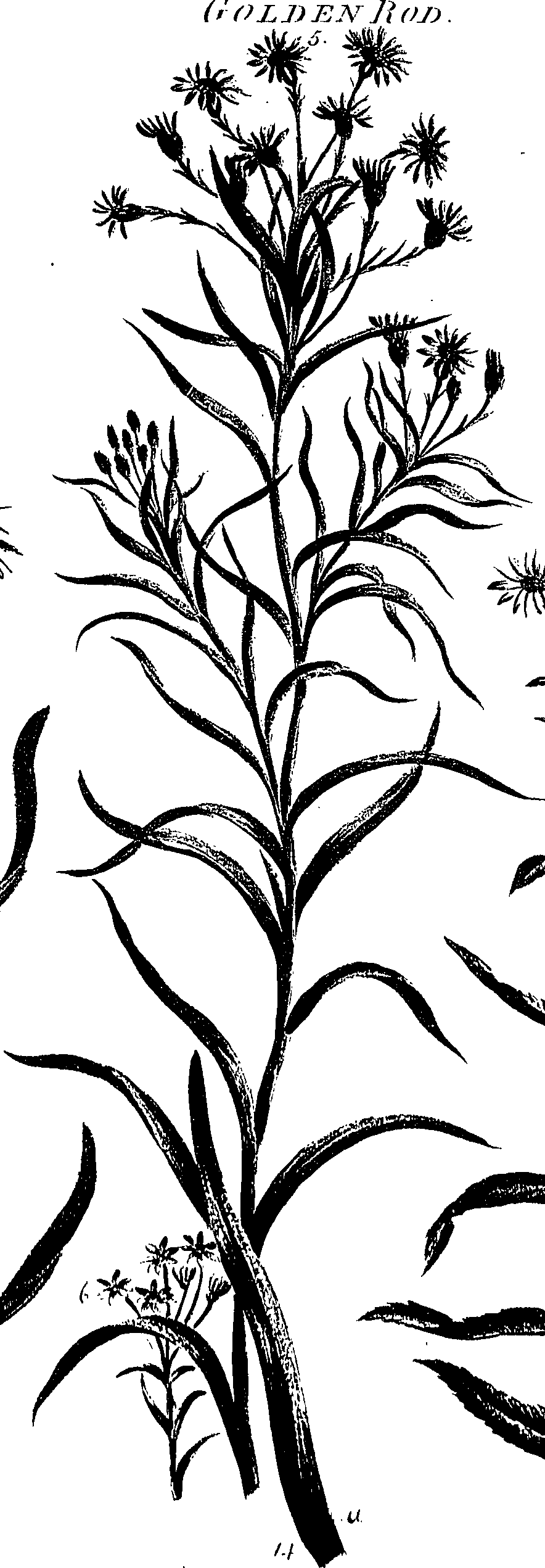 099/099300010202120_0.png
