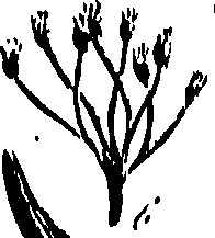 099/099300010202130_0.png