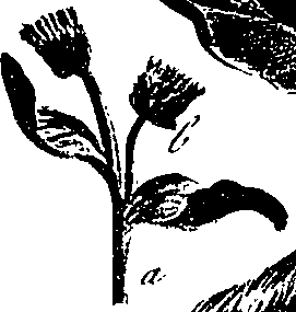 099/099300010202130_1.png