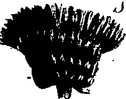 099/099300010202130_2.png