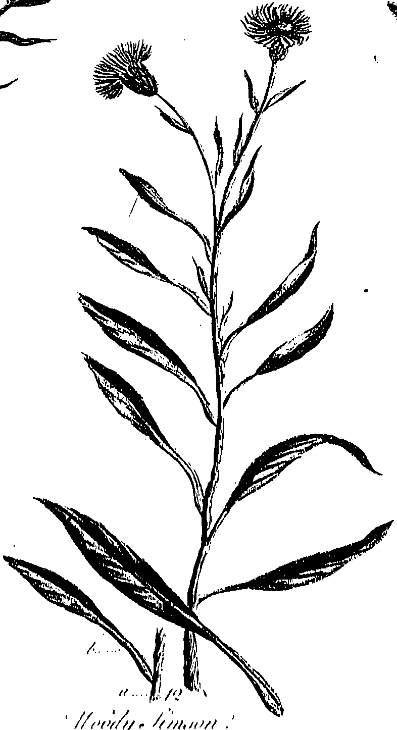 099/099300010202150_0.png