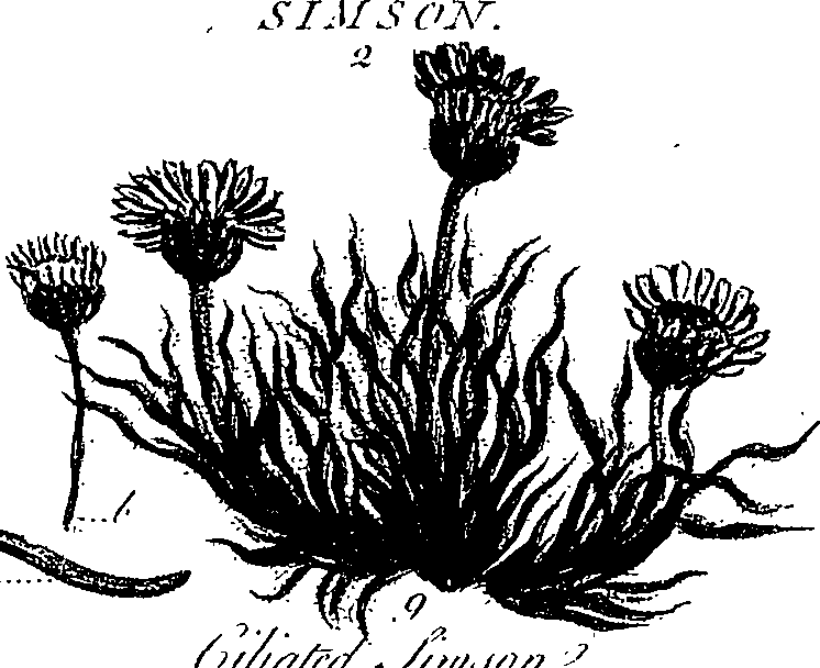 099/099300010202150_1.png