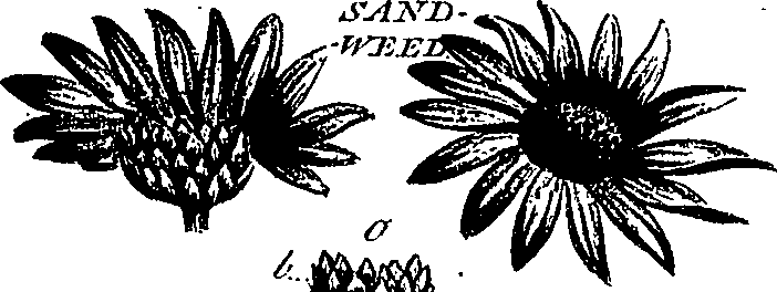 099/099300010202160_0.png