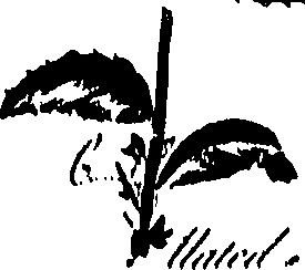 099/099300010202180_0.png