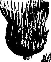 099/099300010202190_0.png