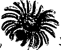 099/099300010202200_0.png