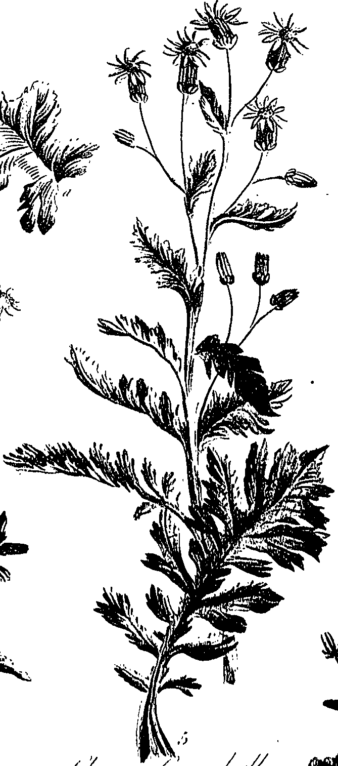 099/099300010202220_1.png