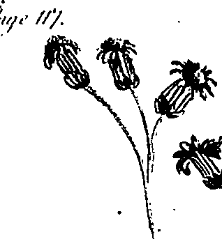 099/099300010202220_2.png