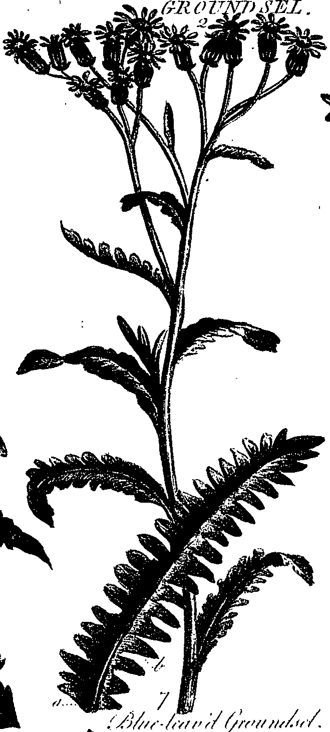 099/099300010202230_0.png
