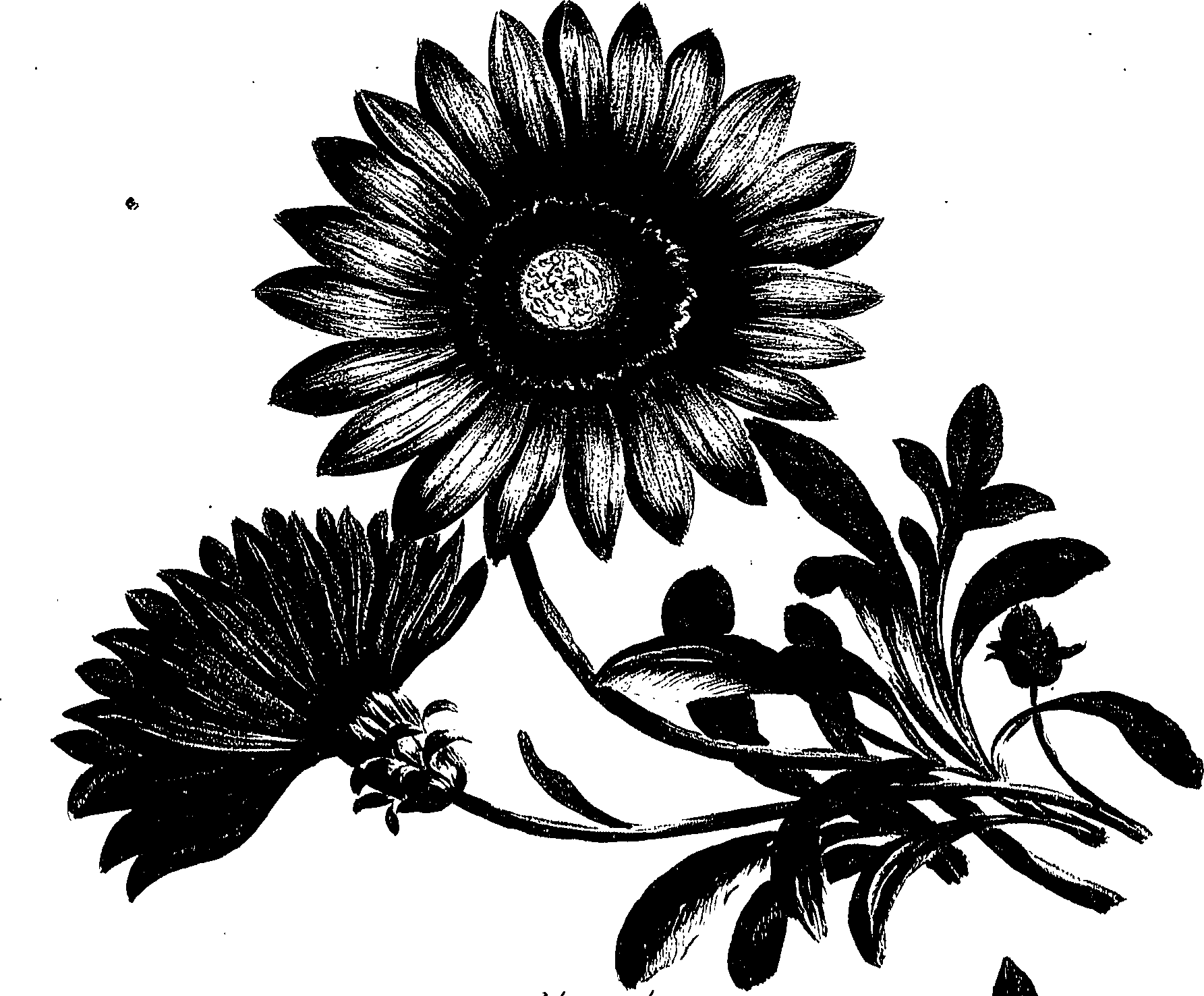 099/099300010202260_0.png