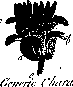 099/099300010202260_1.png