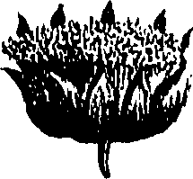 099/099300010300560_0.png