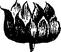 099/099300010300560_1.png