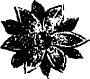 099/099300010300560_2.png