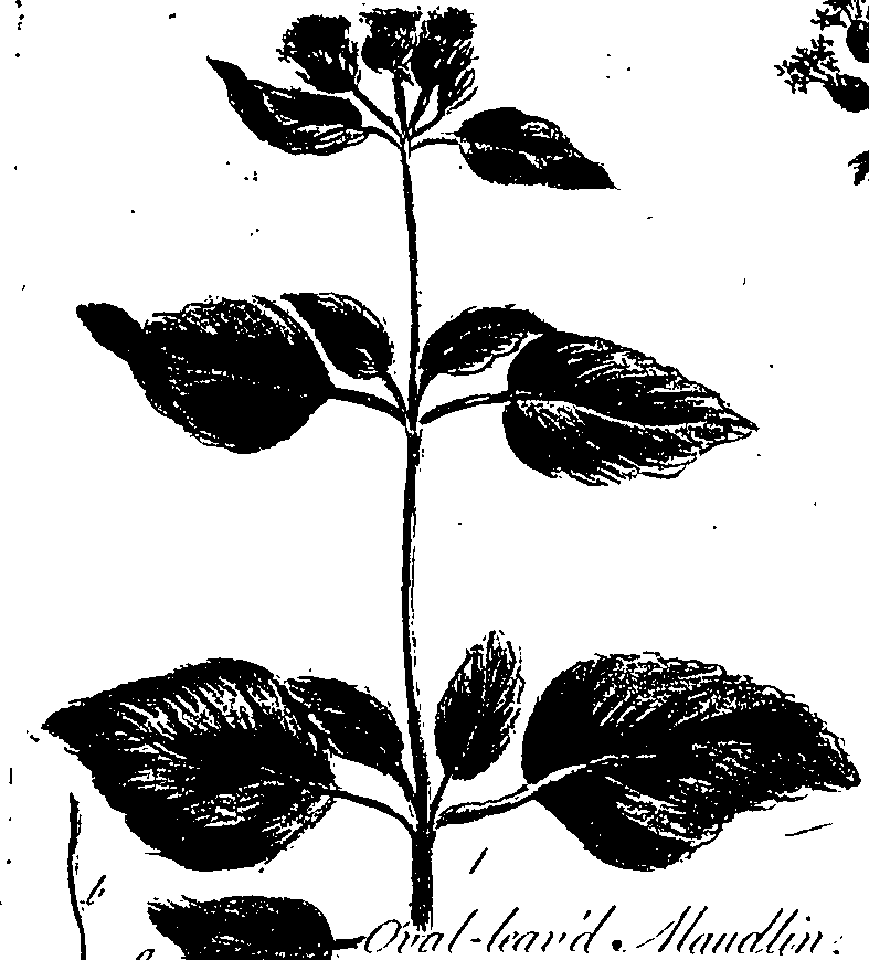 099/099300010300590_1.png